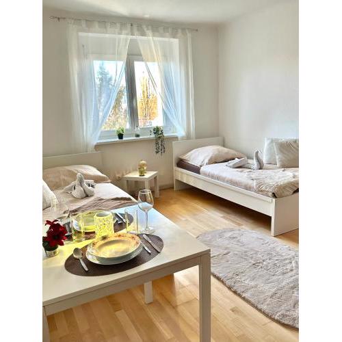 Quiet Apartment near Airport Vienna #2