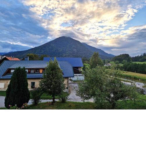 Quiet holiday apartment near Laghi Di Fusine