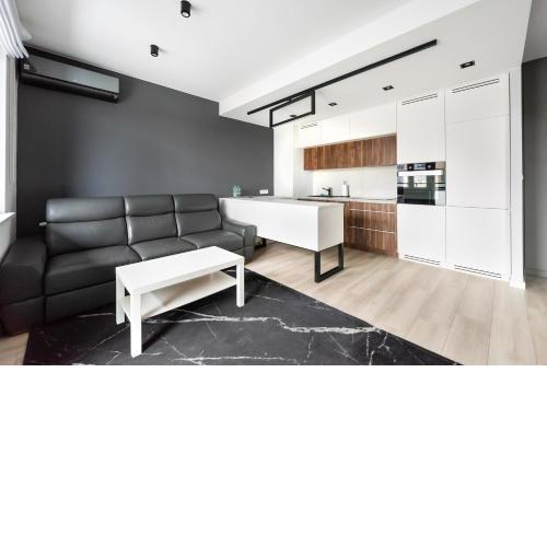 Racjonalizacji Modern Apartment