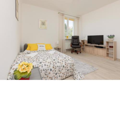 Racławicka Cozy Studio Apartment by Noclegi Renters