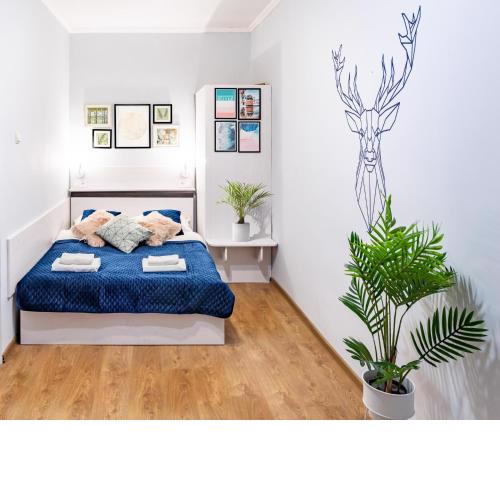 Rainbow apartment near Rynok sq