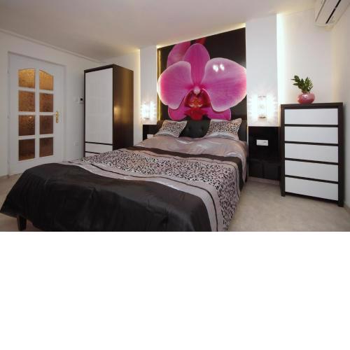Regina Delux Apartman
