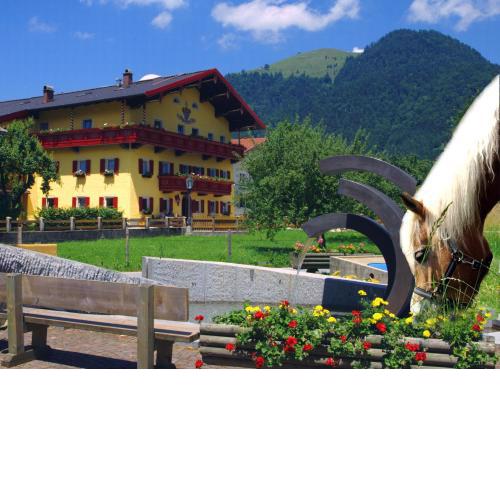 Reitanlage Dagnhof