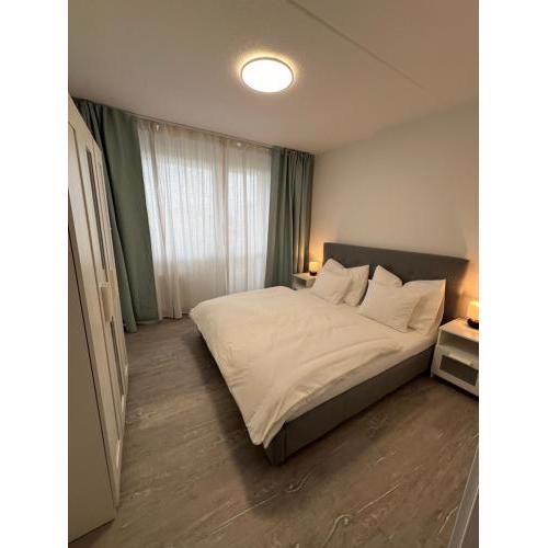 Ren Apartment
