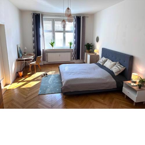 Renovated Apartment in City Center, 3 bedrooms, lift