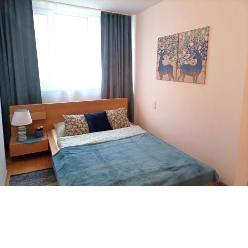 Rental Apartment Trębacka