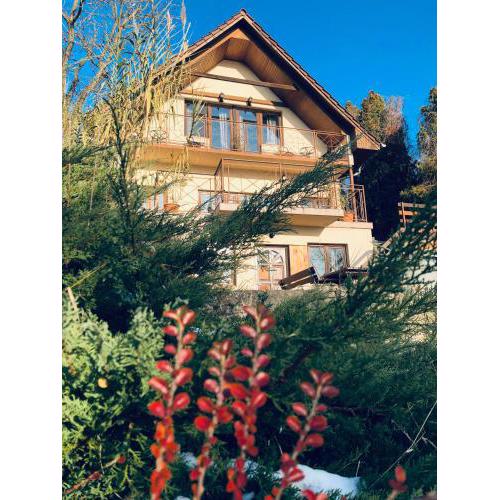 Repülőhal Apartmanház