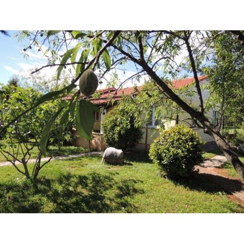 Residence Lorena Ferienhaus mit Salzwasser-Pool und Garten in Porec