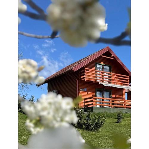 Resort Dudukovic 1