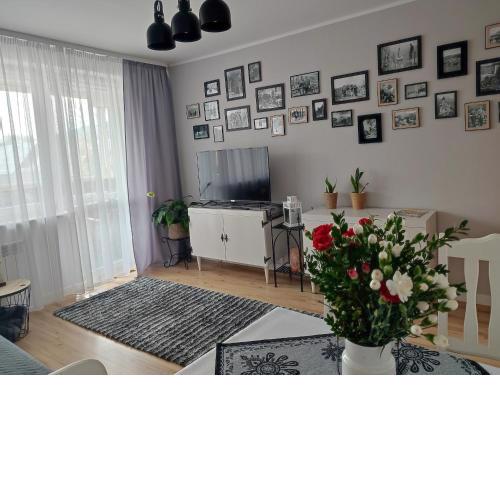 Retrospekcja - Apartament w centrum