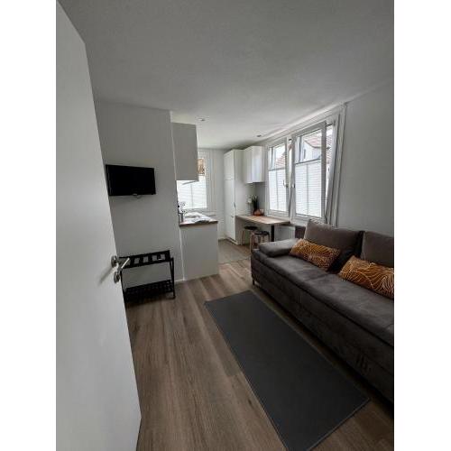 Rheinblick Ferienwohnung