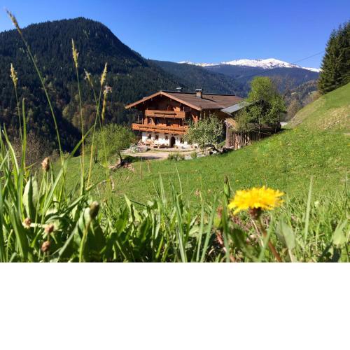 Riegergut