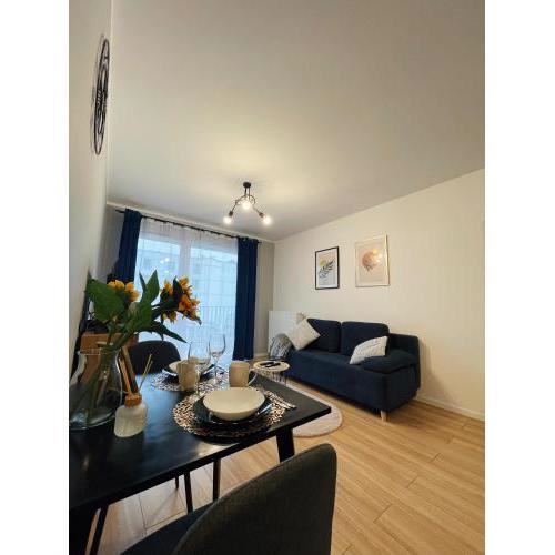 Rimex Invest Group Apartaments