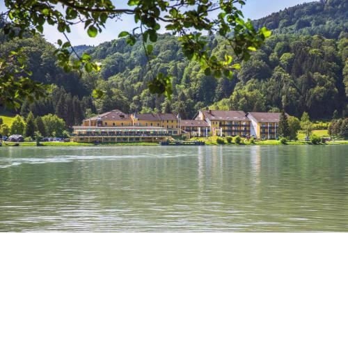 Riverresort Donauschlinge