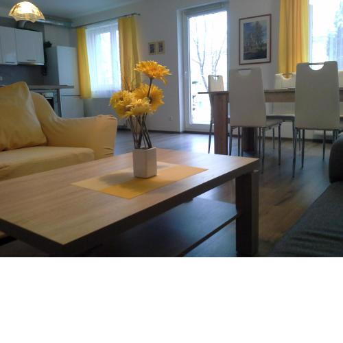 Rodinný apartmán Lucie v blízkosti Wellness hotelu ve Frymburku