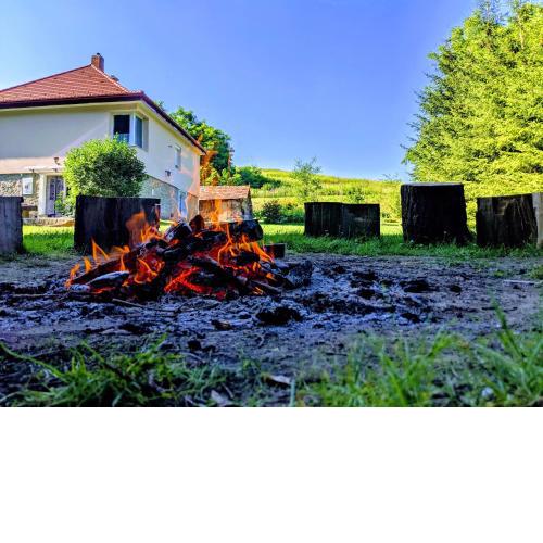 Római Fürdő Apartmanház