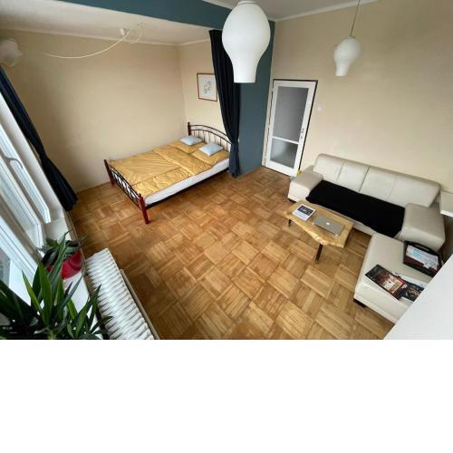 Rooftop apartment with city park view