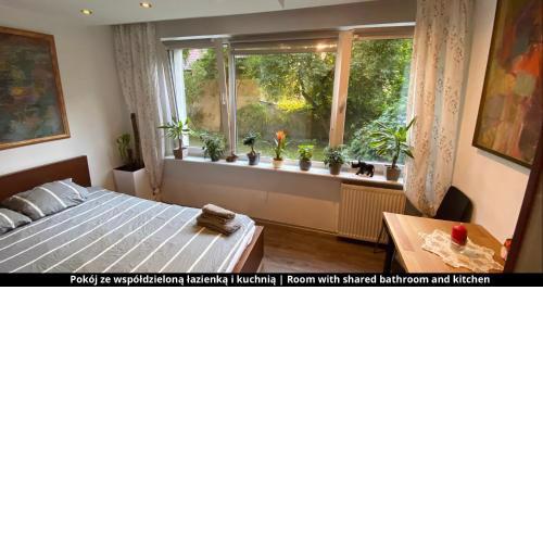 Room with shared bathroom and kitchen