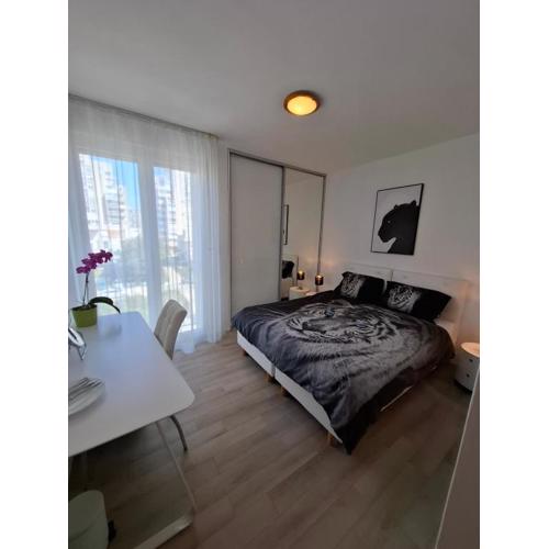 Room Znjan