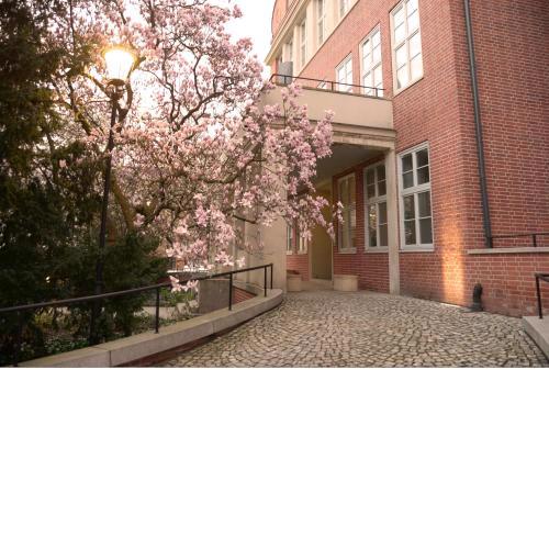 Rooms in Historic Heart of Wroclaw