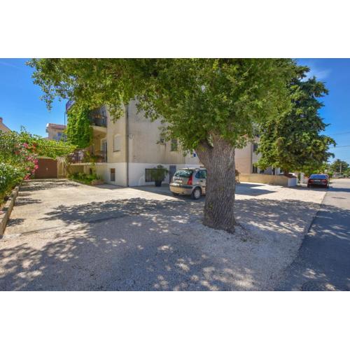 Rooms Oak Tree