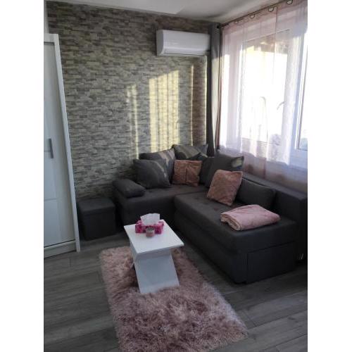 Rose Central Apartment