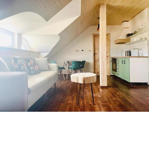 Roubenka Meandra - studio 32m2