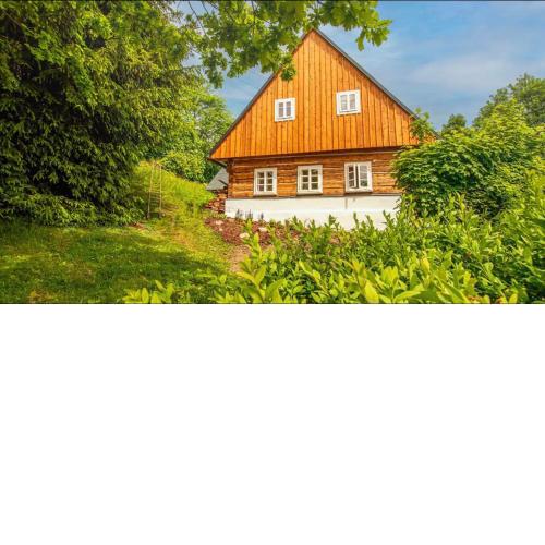 Roubenka mezi stromy s wellness
