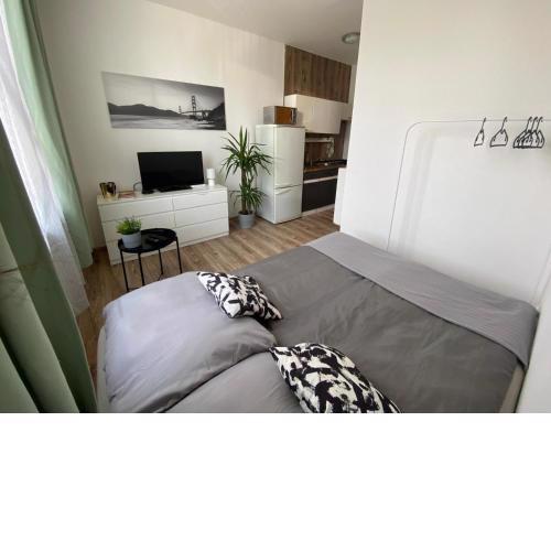 ROVAO Apartment, 1-2 guests, Free Parking & Wifi, 30min from Downtown