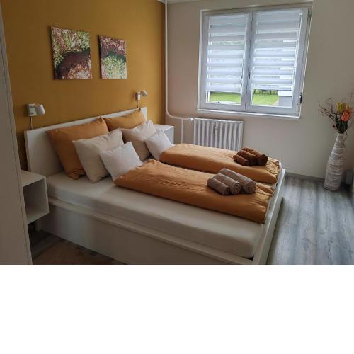 RsG Home
