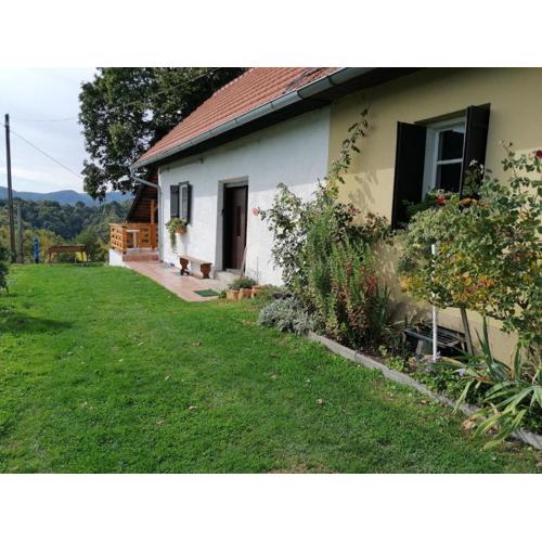 Rural house above the forest