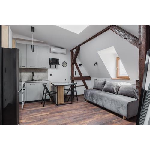 Rynek Jeżycki Roof Loft Apartment
