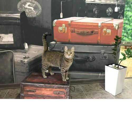 Sacvoyage