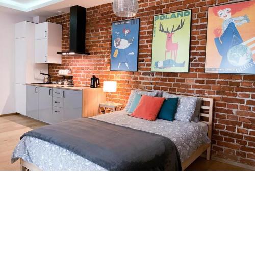 Saguaro Luxury Apartment Old Town Cracow Kazimierz