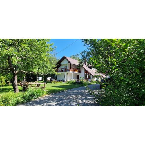 Samardzic House V