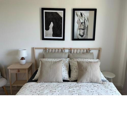 Samorin XBS view apartman plus parking