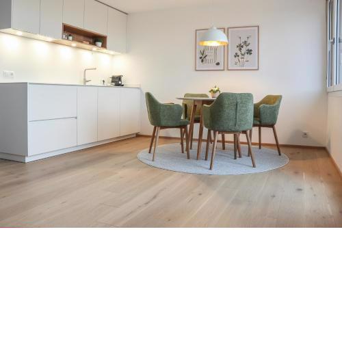 Säntisblick Apartment