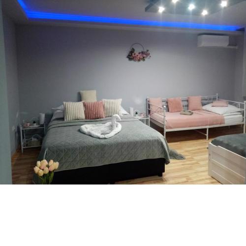 Sára Apartman Nyíregyháza