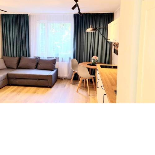 Saska Modern Apartment
