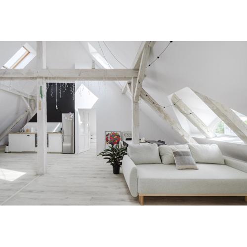 Scandinavian Loft Apartment
