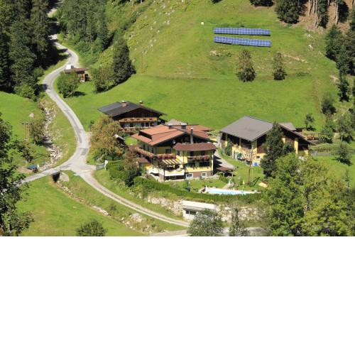 Schattaugut