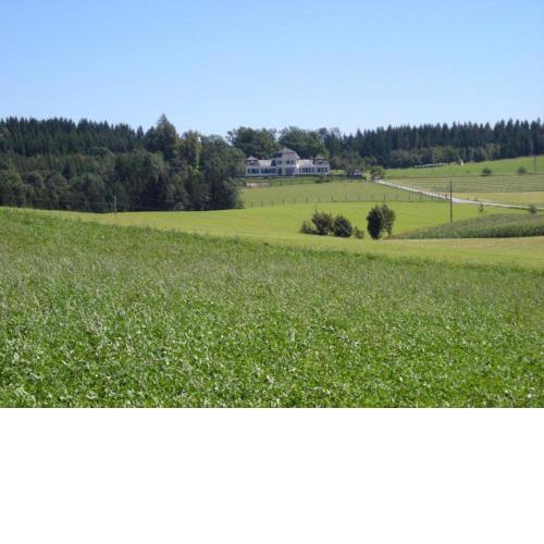 Schloß Ziegersberg