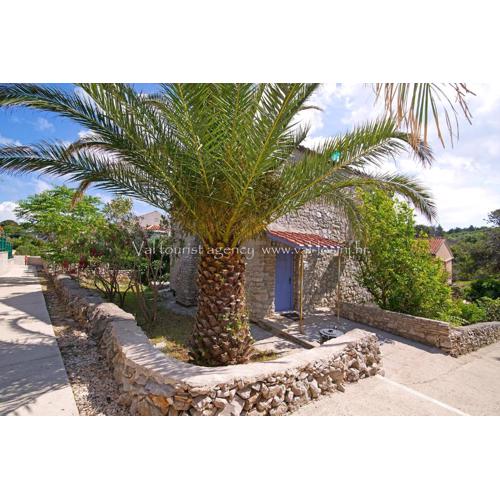 Schöne Wohnung In Veli Losinj