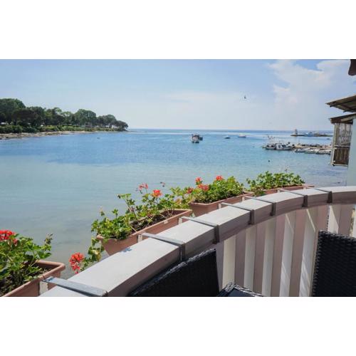 Sea Balcony Apartment Savudrija