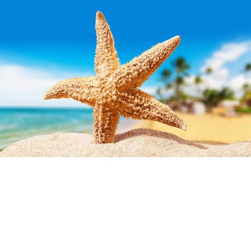 Sea Star Apartments (sea view)