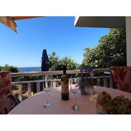 Seaside Apartments Hrka - Studio Apartment with Terrace and Sea View 3