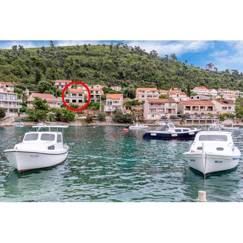 Seaside holiday house Brna, Korcula - 19219