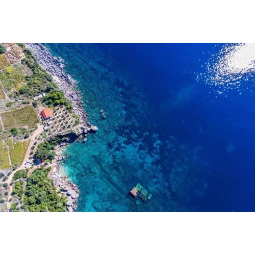 Seaside house for families with children Postup, Peljesac - 20849