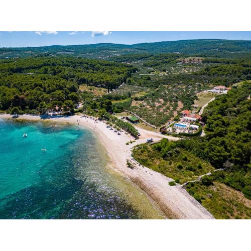 Seaside luxury villa with a swimming pool Mirca, Brac - 16183