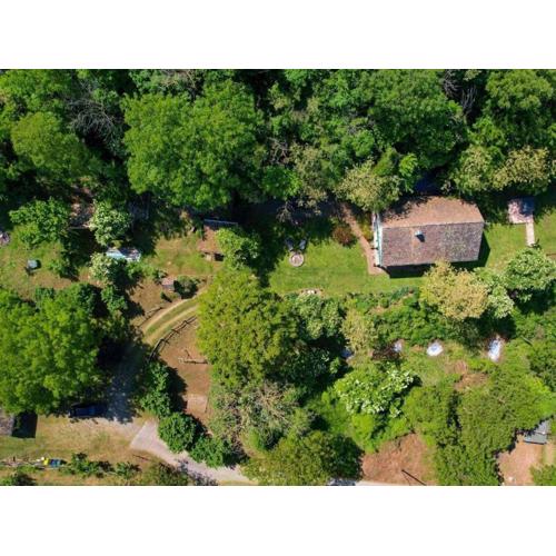 Secluded family friendly house Draz, Baranja - 15893